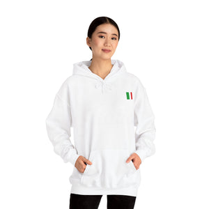 Italia Italian Flag Unisex Heavy Blend™ Hooded Sweatshirt