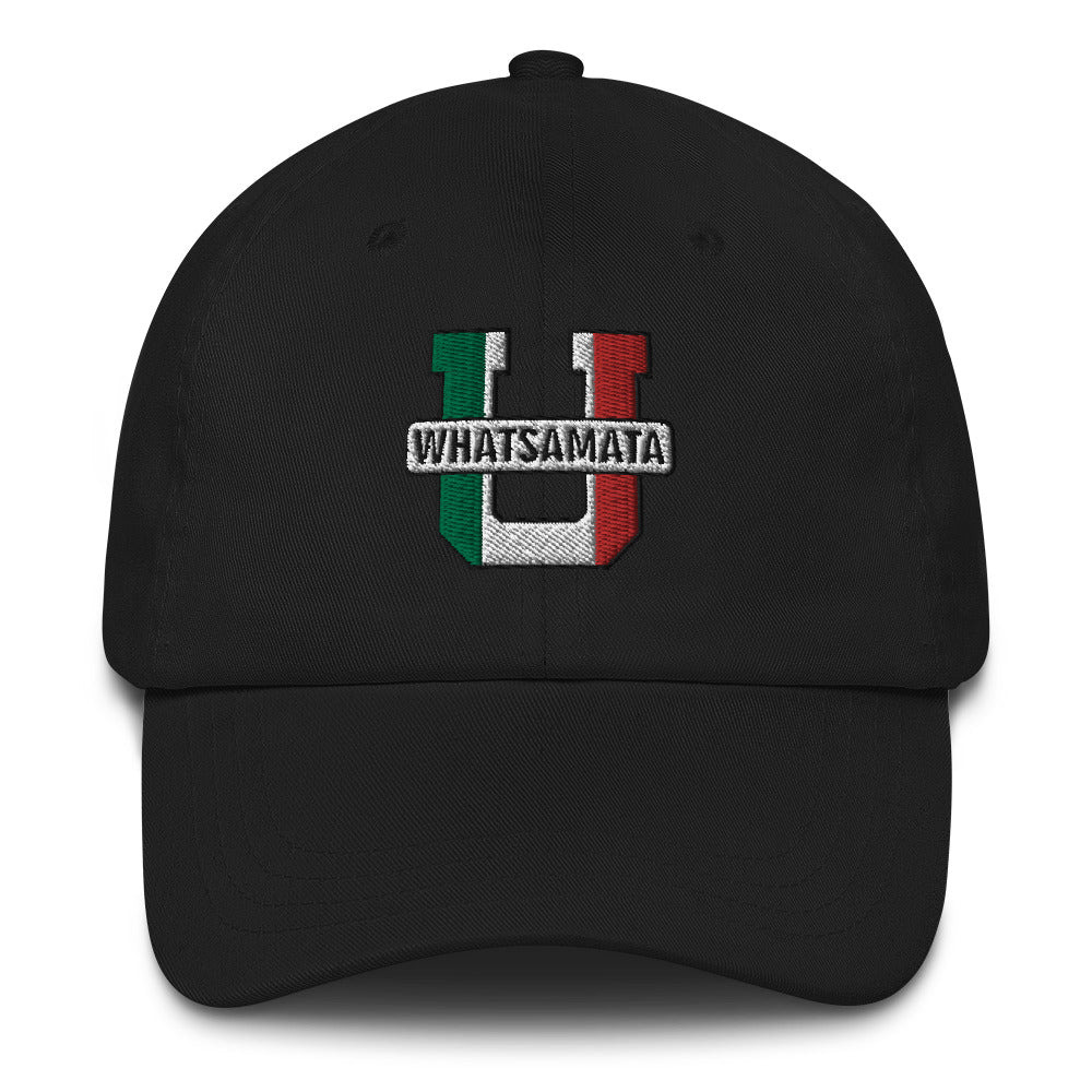 Whatsamata U Dad hat