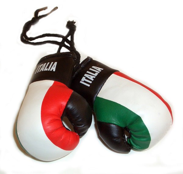 Mini Italia Boxing Gloves - Guidogear